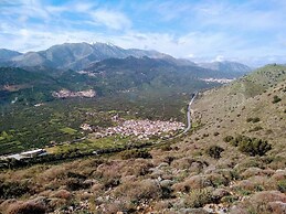 Olive Valley Traditional House