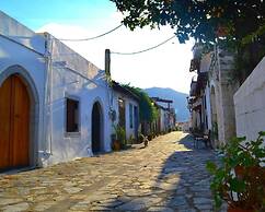 Olive Valley Traditional House