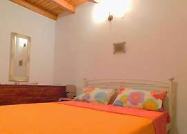 Olive Valley Traditional House