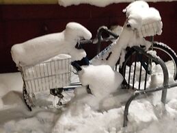 Billie's Backpackers Hostel