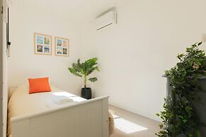 FLIPHAUS Nicaragua 5900