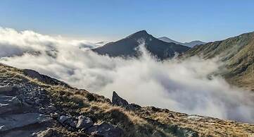 Crib Goch Cozy Dog-friendly Cabin Retreat