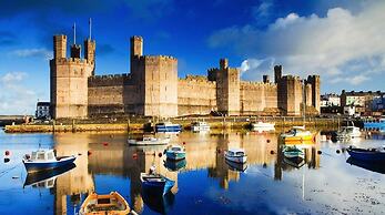 Crib Goch Cozy Dog-friendly Cabin Retreat