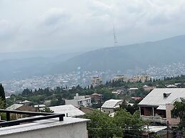 Panorama David