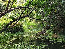 Reserva Botánica Choachí