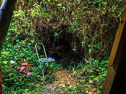 Reserva Botánica Choachí