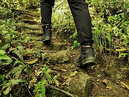 Reserva Botánica Choachí