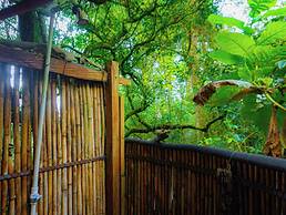 Reserva Botánica Choachí