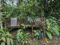 Jardin de los Suenos