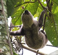 Jardin de los Suenos