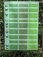 Jardin de los Suenos