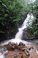 Jardin de los Suenos