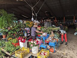 Jardin de los Suenos