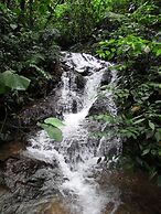 Jardin de los Suenos