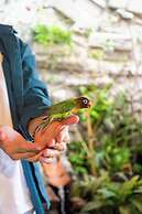 Hostal Corazón verde