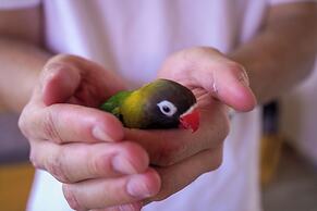 Hostal Corazón verde