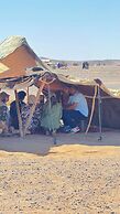 Camp Sakura Desert Dream