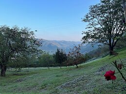 La Melagrana