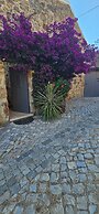 Casa BelaVista Penela Portugal