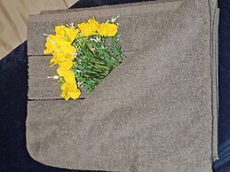 2br-sleeps4-citycentre-freeparking