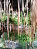 Herbal Resort