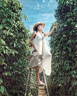 Herbal Resort