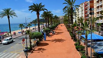 Kistars in Lloret de Mar