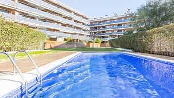 Kistars in Lloret de Mar