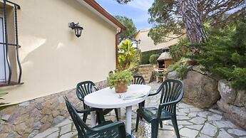 Crisantemo in Lloret de Mar