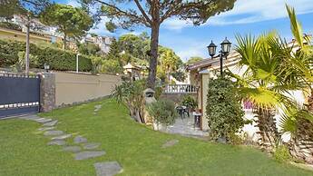 Crisantemo in Lloret de Mar