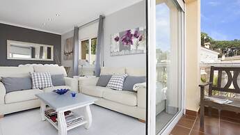 Crisantemo in Lloret de Mar