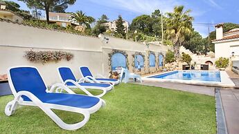 Crisantemo in Lloret de Mar