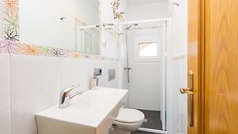 Crisantemo in Lloret de Mar