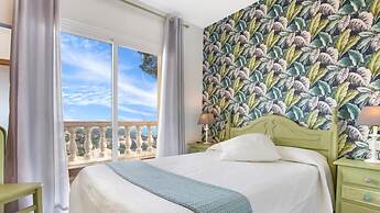 Crisantemo in Lloret de Mar