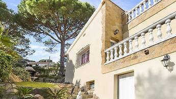 Crisantemo in Lloret de Mar