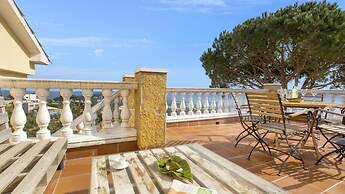 Crisantemo in Lloret de Mar