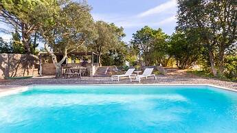 Castanyer in Lloret de Mar