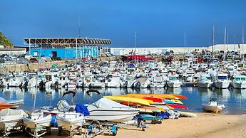 Sa Palomera in Blanes
