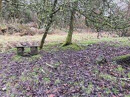 Red Squirrel Haven 2BR House - Sleeps 4 - Parking