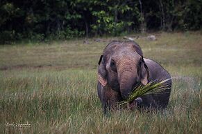 Cloud Nine Wilpattu by Aaradhya