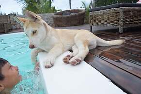 Room 7 Sicily Premium