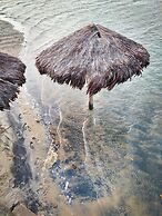 Paradise Suit Sal Premium