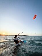 Paradise Suit Sal Premium