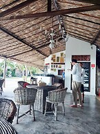 Paradise Suit Sal Premium