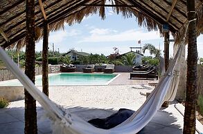 Paradise Suit Sal Premium