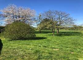 Charming Apartment in Ardennes
