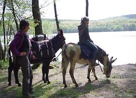 Charming Apartment in Ardennes