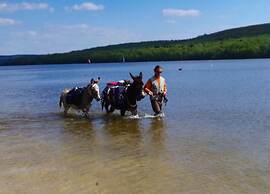 Charming Apartment in Ardennes