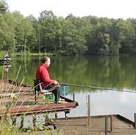 Forestside Retreat in Turnhout