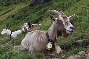 Berggasthaus Tschingelhorn - only accessible on foot (2 hour hike)